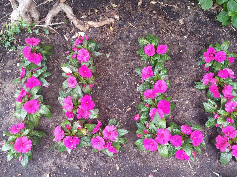 B8B7E2ED94FD52710A51780399E8E4A7