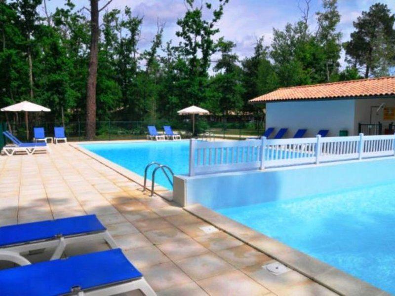 C2C4C64DD96FF17AEB5F84B3A6173BDB