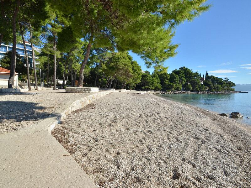 06F931091AAB283B7B2B248F37563A7E