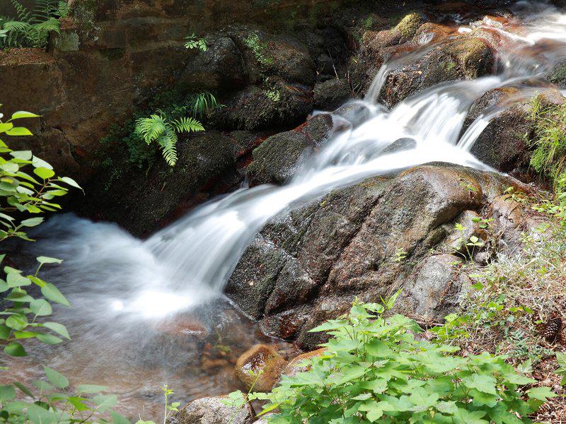 216B1473039F5380F4DC5996BD5C2BDE