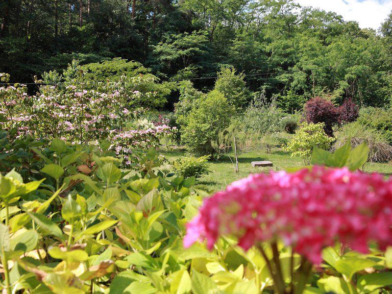 0CF96B48F6CCDBCAF25D950B59F2167F