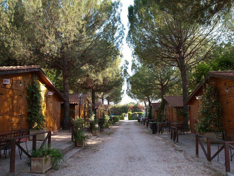 5DC7389BDFFE3C23AF85223F9DD9DC15