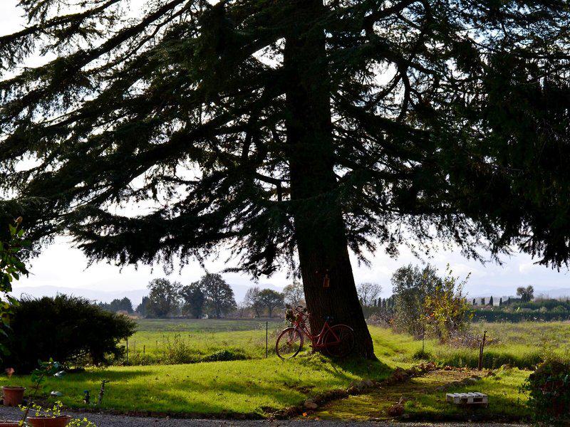 83A2182E573564F9B415FDD2323FC5CE