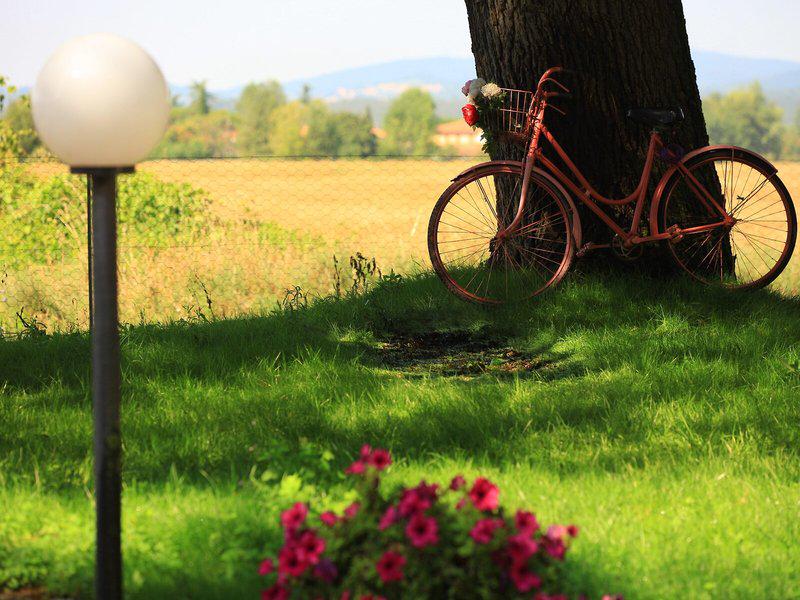 0FD8ADBFC22D7503A47656E2DB20B933