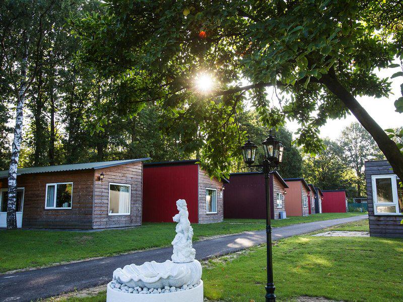 59E3E4EBD22D12C9A12E6FE58D22BE0A