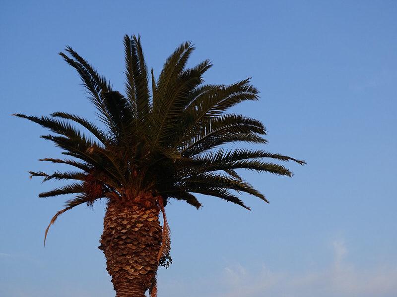 648EEC1EEC830D9D33ADF2385A8D6A9F