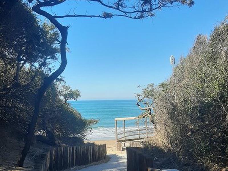 EF379A819E480D51764A3A59DDE685AF