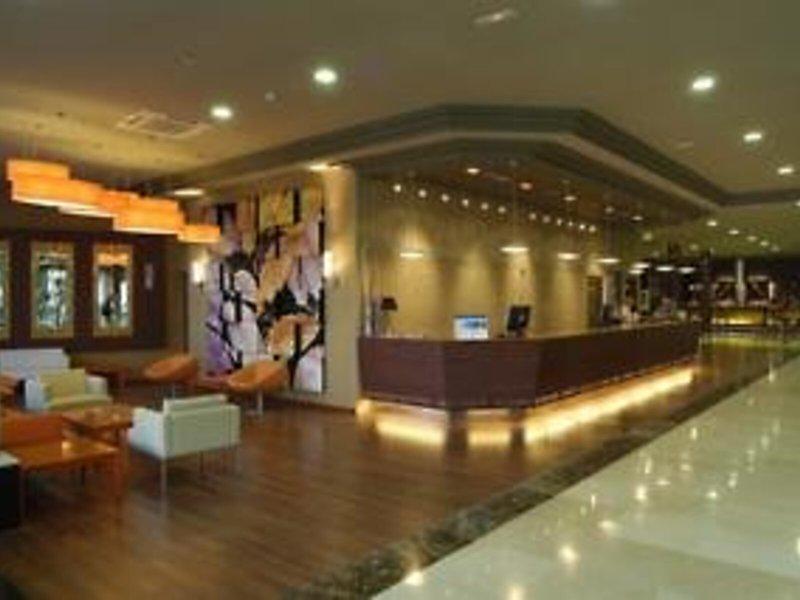 78F591452ABF129C6167E2638B05DEE5