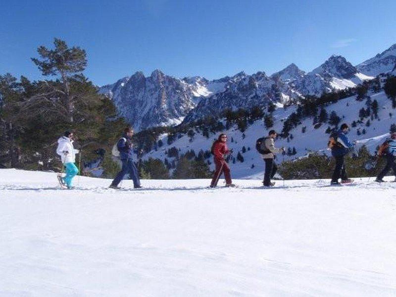 8DF6E1C14A78E34ACC7EC93CB4D50132