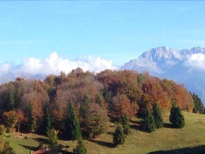 72E3483D64F766F26A3C3984566DA305