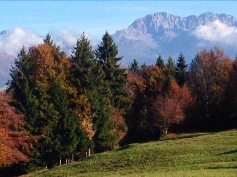 671949AFAC6C3760F991F0BE7A424F00