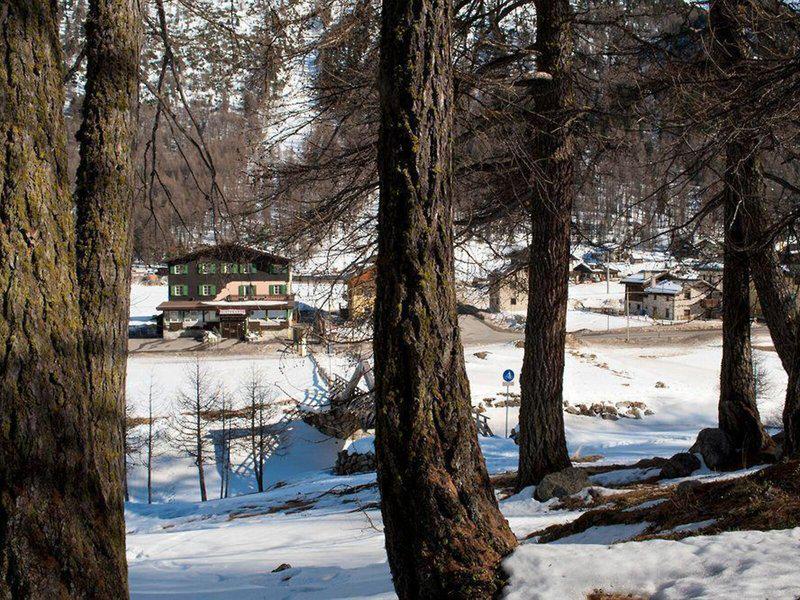 E231D9551A06DE9735ED9AD13B328C1B