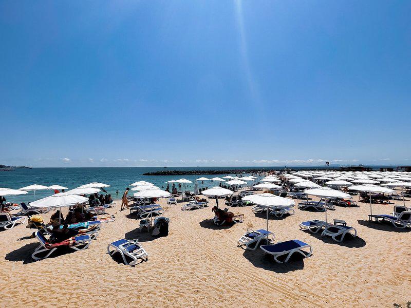 42973F39DDACE803873753D3BA712BDC