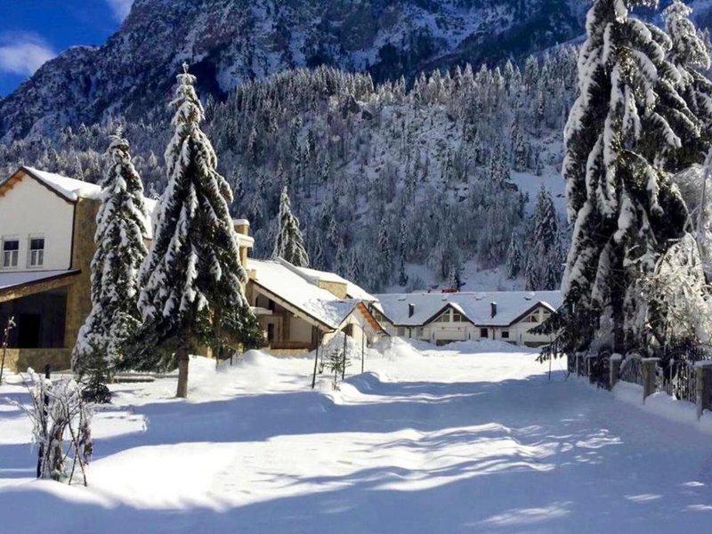 7A2F1EF55CD62E525746480B62BCA387