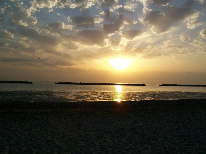 D4749A1EF2D645F672FAA263FB4CCEAE