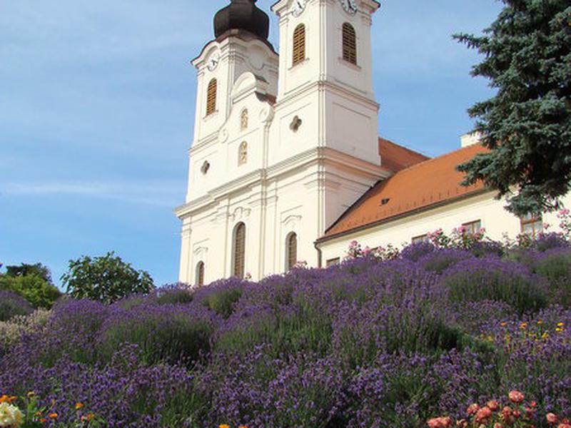 B642D64D7848F421EEE973197395E128