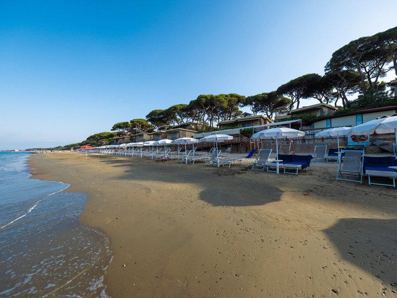 9081B8E5B7CDDC5B0A179CB41354CF96