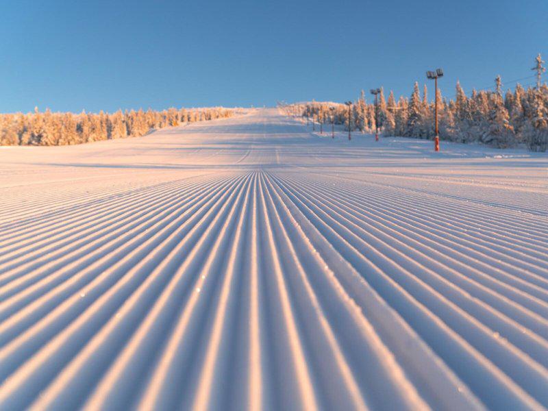 D1EEDC61C0BF8D9AC09FAA17B72DC5DD