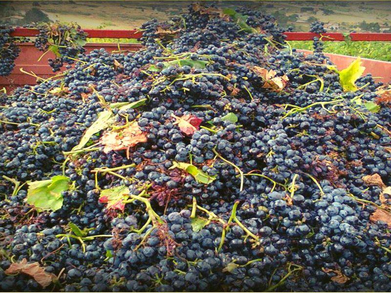 BB35151D4C15631A5B03693BE6D98CF6