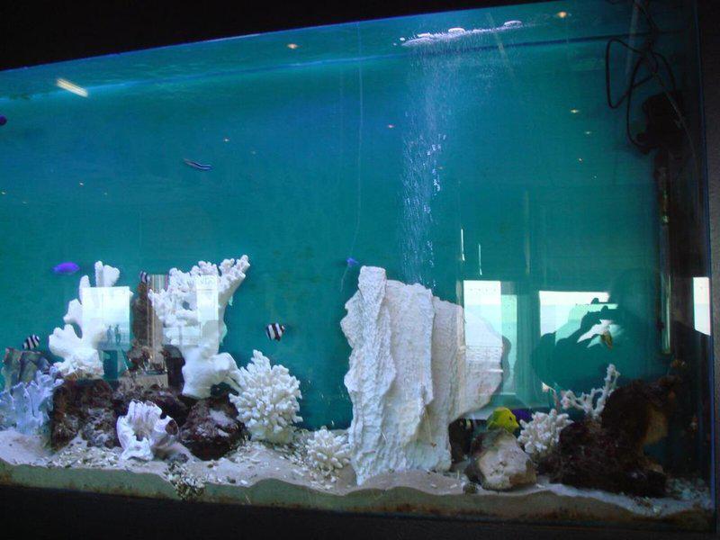 30000DE6D40A078A58BC6BF49C9CAB90