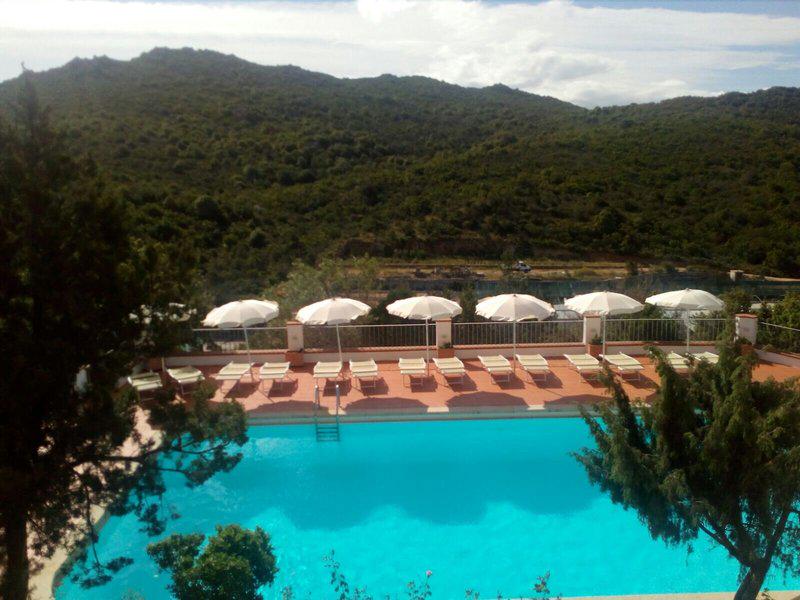 D8155AFB23B886E958823FCD223F8C66