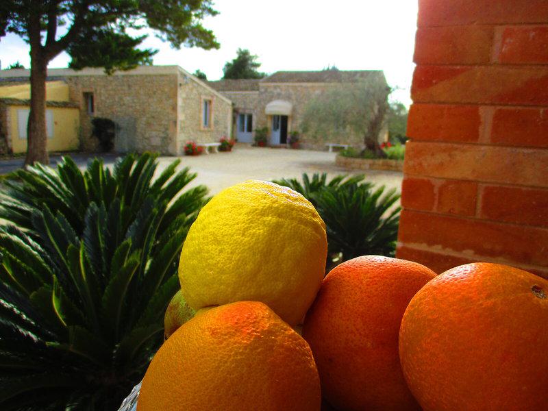 44DDEFC9C25CD09BA6075A8F37F84F8B