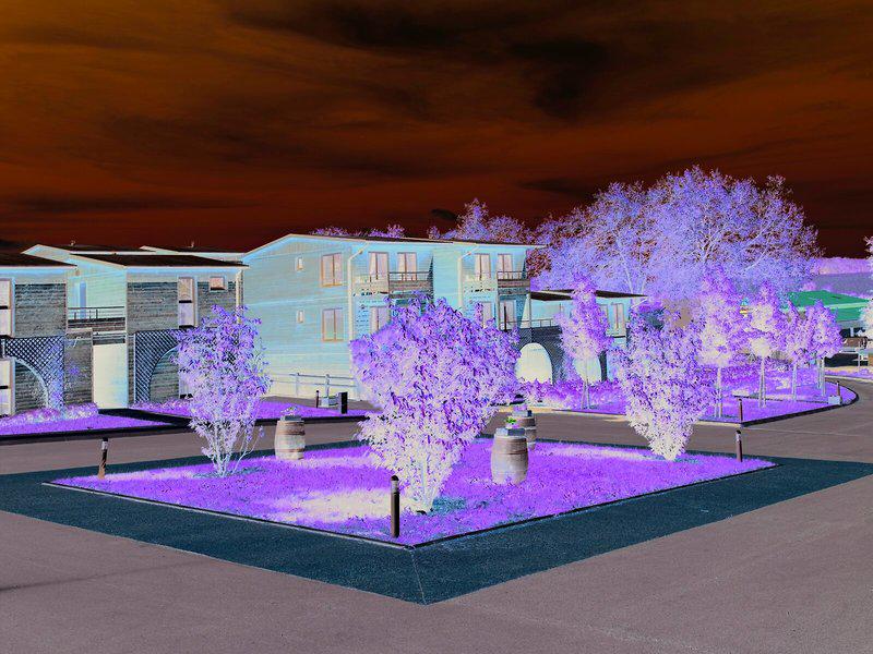 9B01B652EE61AD569F3D1CE4EDAE7DBD