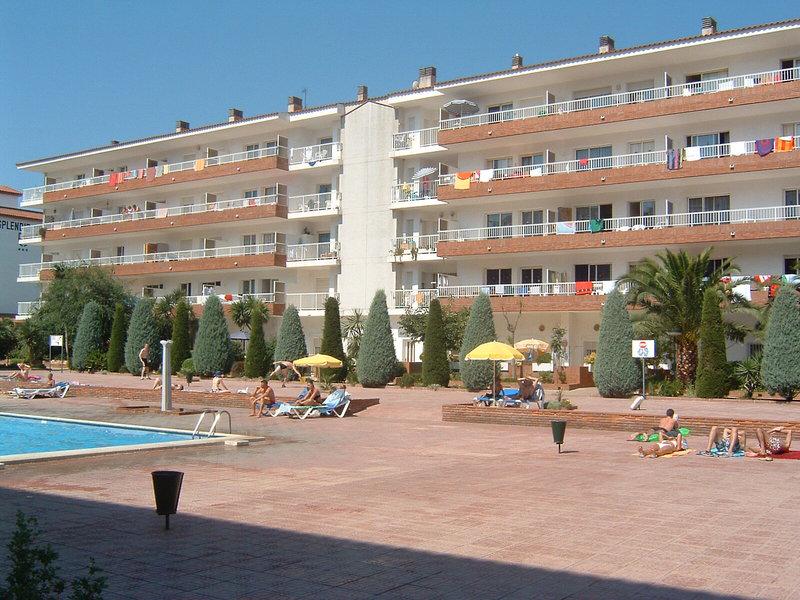 202D174CBB42FDD1A6FF7376E3B80509