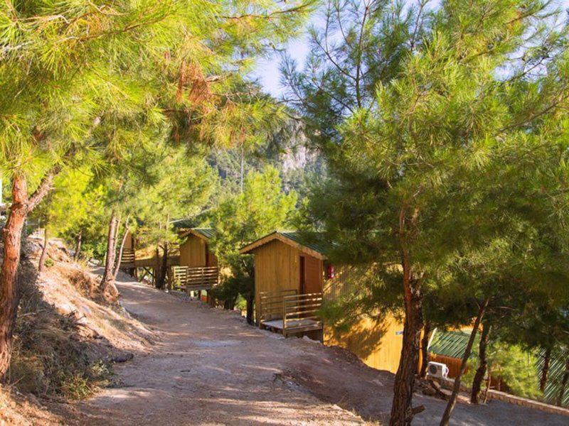 62572B3EC8E7A7DFB46802C1C0F078DB