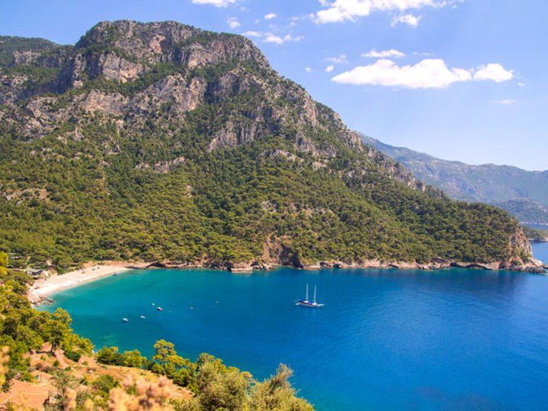 81EF853989C58E06E13E2E18F0B86CFB