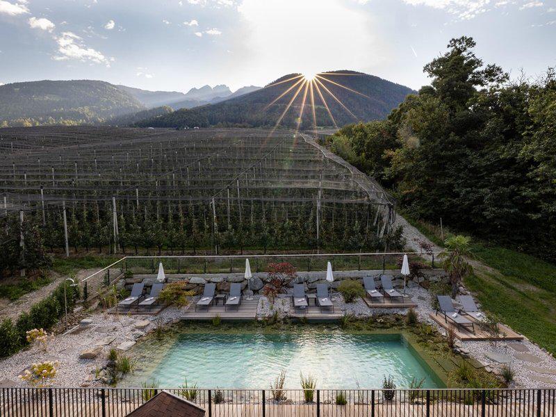 87F8D0C395A271E795D6A28695234DD7