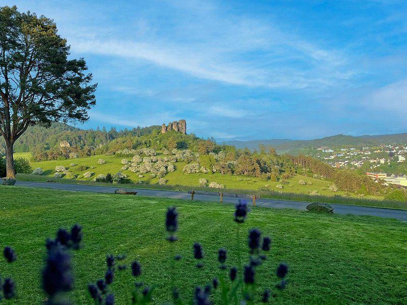 58EE4CB6CF35AD608D681792FEB26E89