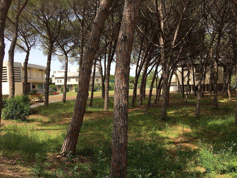 71435EF7153C02C5D3123E4F8C56BADA