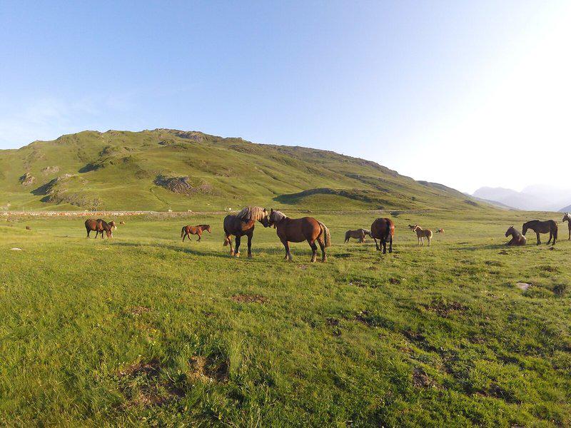 C7905C1F99BDBBBBAF328D86B491DB81