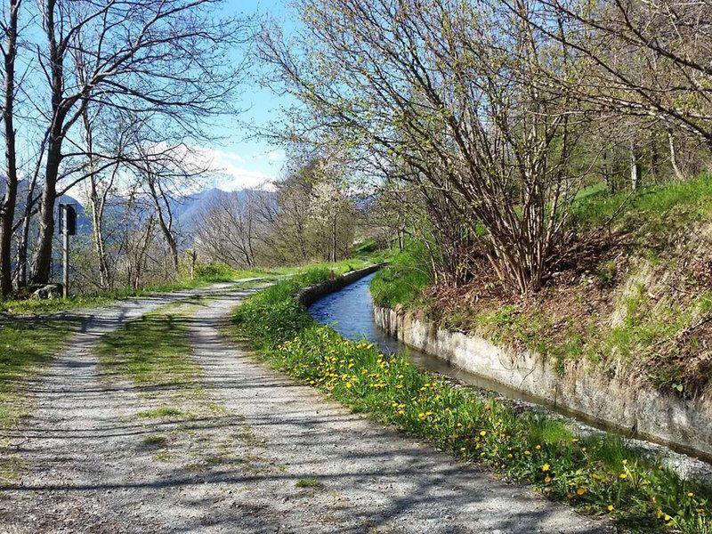 2E7C7644D87C3D1DDFF635564D910036