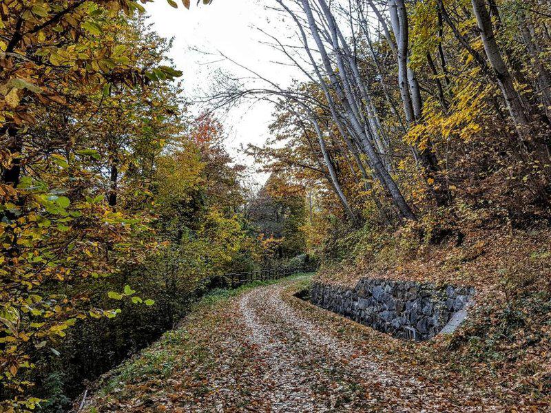 01E1A8F2FEEEF5BC180614A196681C8D