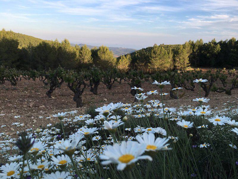 0E890B04E39A07C3F57D54980BC1A69A