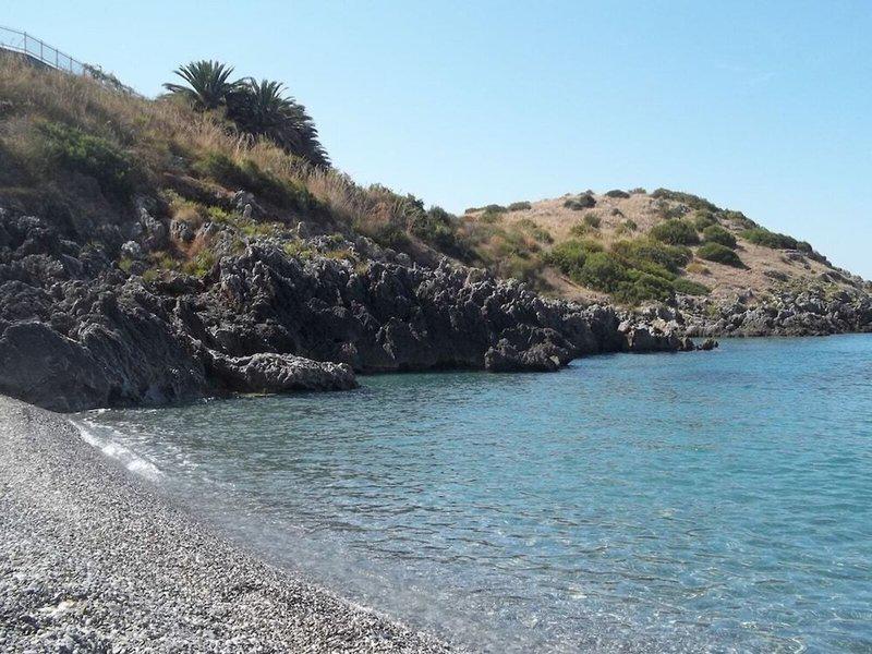 F3230006A4B796E5883A90D5549E1D92