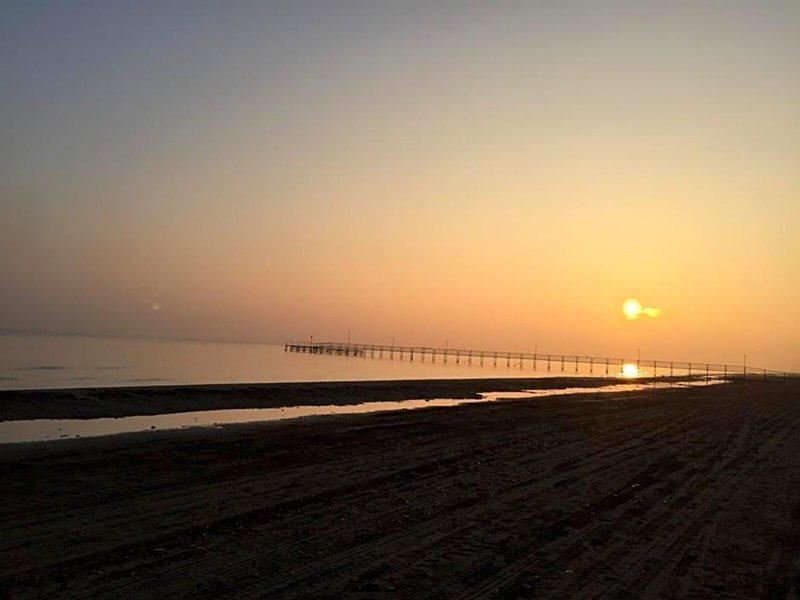 E8B065B9D6D30A174C00866981601D53