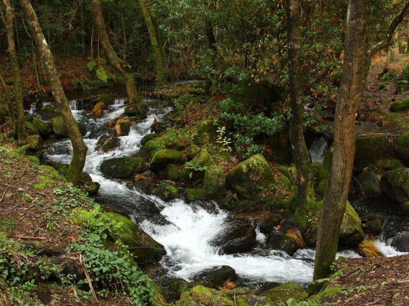 0A3D60CD5D1C27C792F1D89091C77302