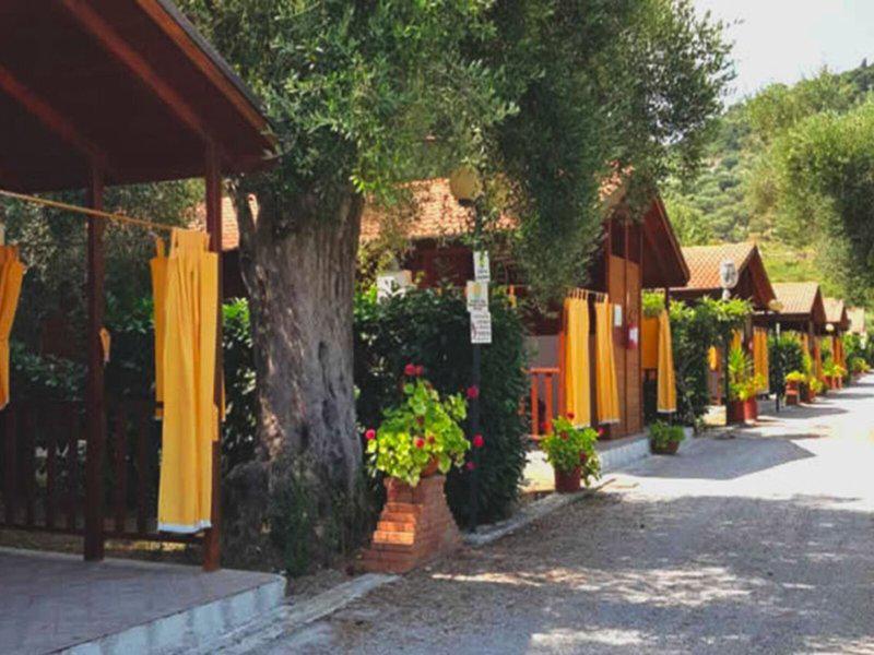 BD9A739EB5E2B7ED21C6ACC9EDC69B77