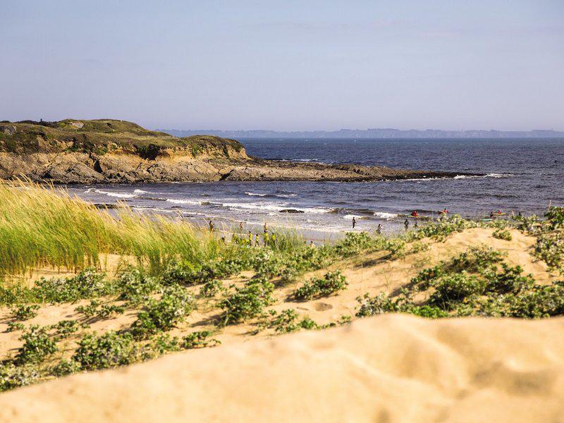 C02D9C8929AE1B5D5474F527446A59C4