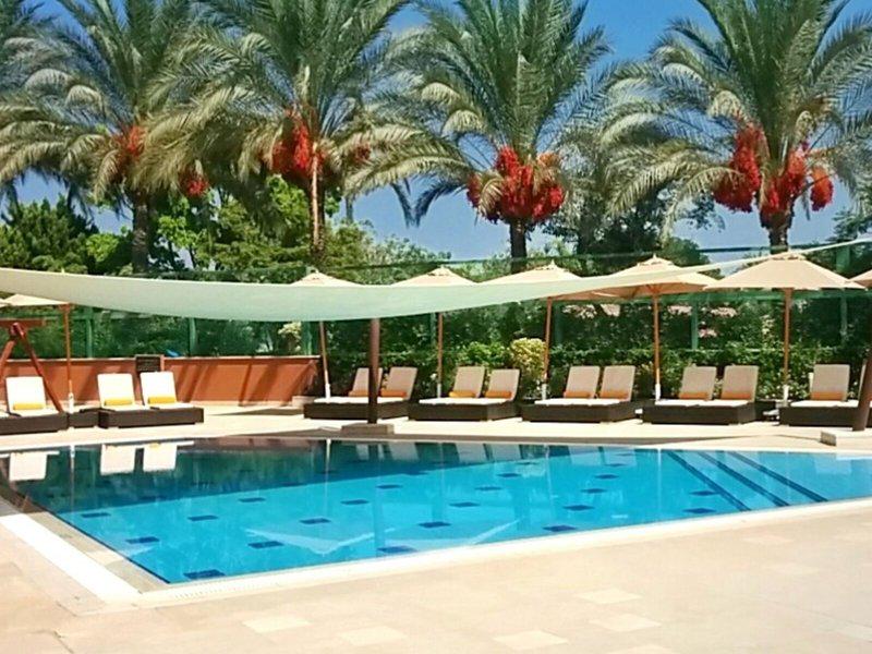 A787EE0B5D620DF2236C14B81F18F33D