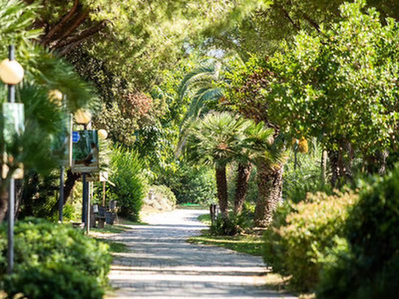 93766797F988C599A41ACB37DCDD04E3