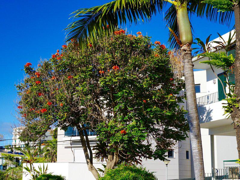 F91EBBF65734A58CEF7ABDB6689AB226