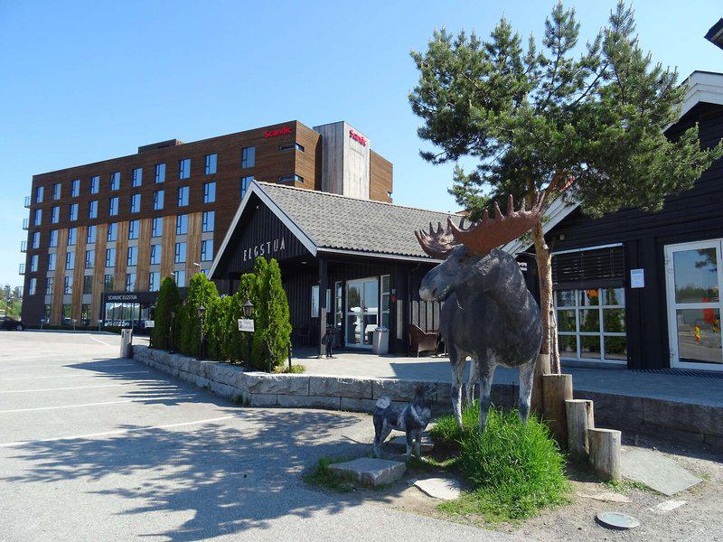 1968785C4F499DD5A5E0E77BBBE9FB7A