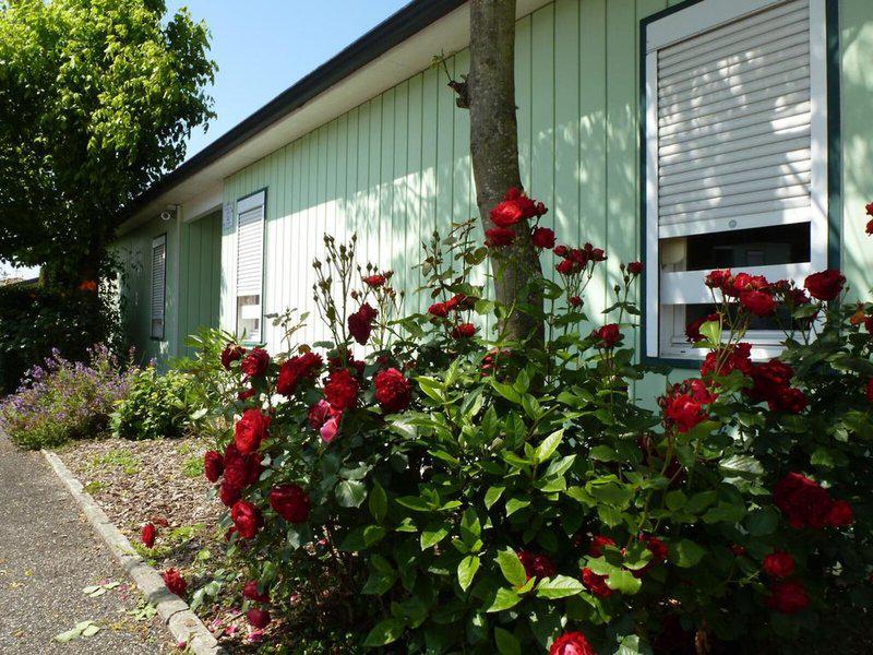 2E11B798D63F277AA7DB2A639A287380