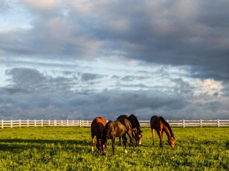 A13F4ABFAD9FE1EB381D139F98AF73E3