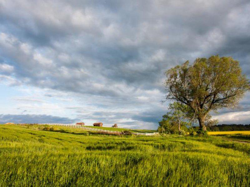 9D1C33AE89D91EC5FB82210964E77C27