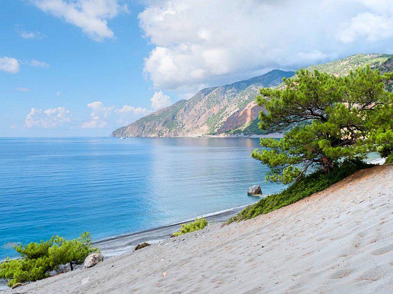 8476D13DA62A65B47A24517E3D2C06E7